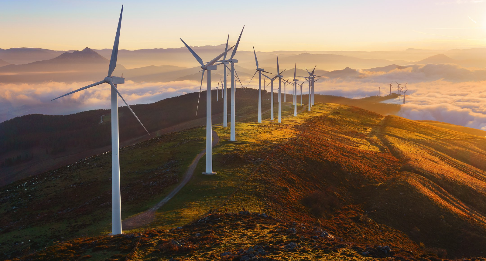 SEC Newgate EU SEC Newgate 2021 Global ESG Monitor Report Key Findings